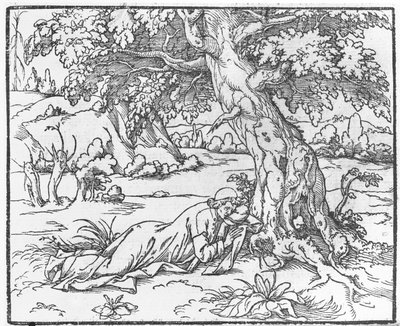Page from Discours du Songe de Poliphile, by Francesco Colonna, 1546 by French School